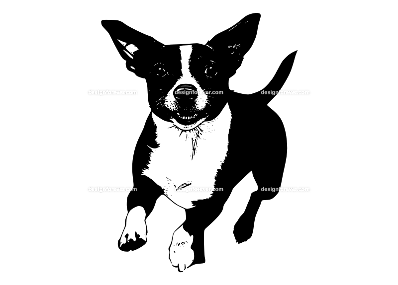 chasing dog logo