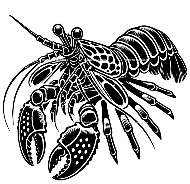 Mantis Shrimp graphic logo