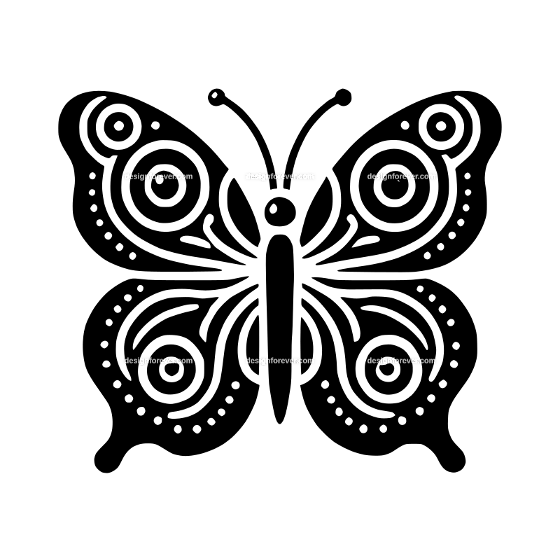 a simplified butterfly