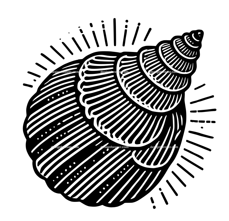 the seashell logo