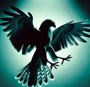 Silhouette of hawk in teal background