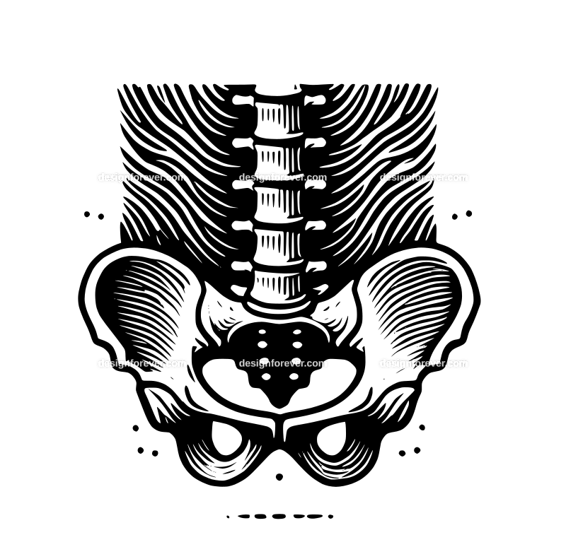 lumbar gaphic logo