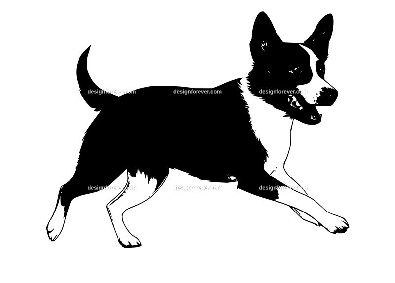 chasing dog logo