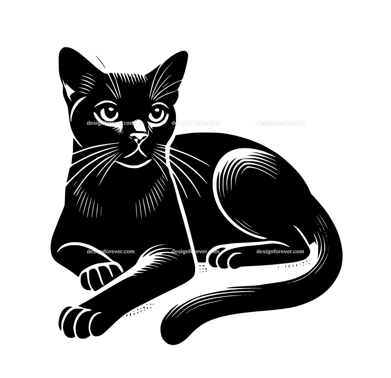 Bombay cat graphic logo