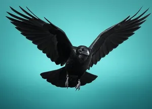 raven swooping down