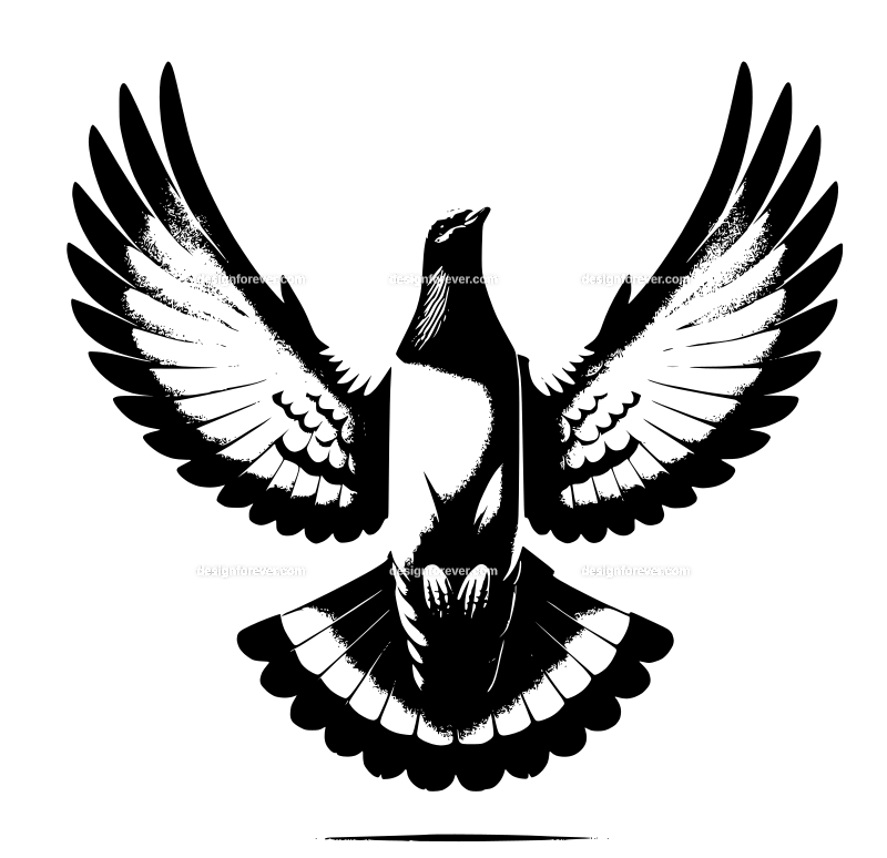 a pigeon flying straight up