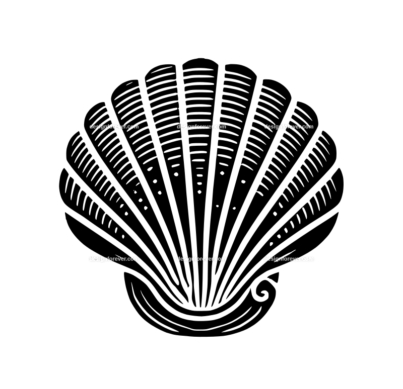 the seashell logo