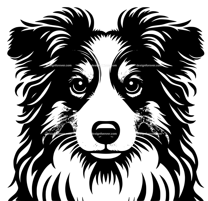 Kooikerhondje graphic logo