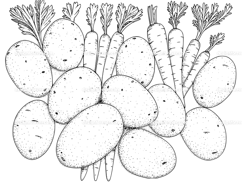 potatoes and carrots and celery