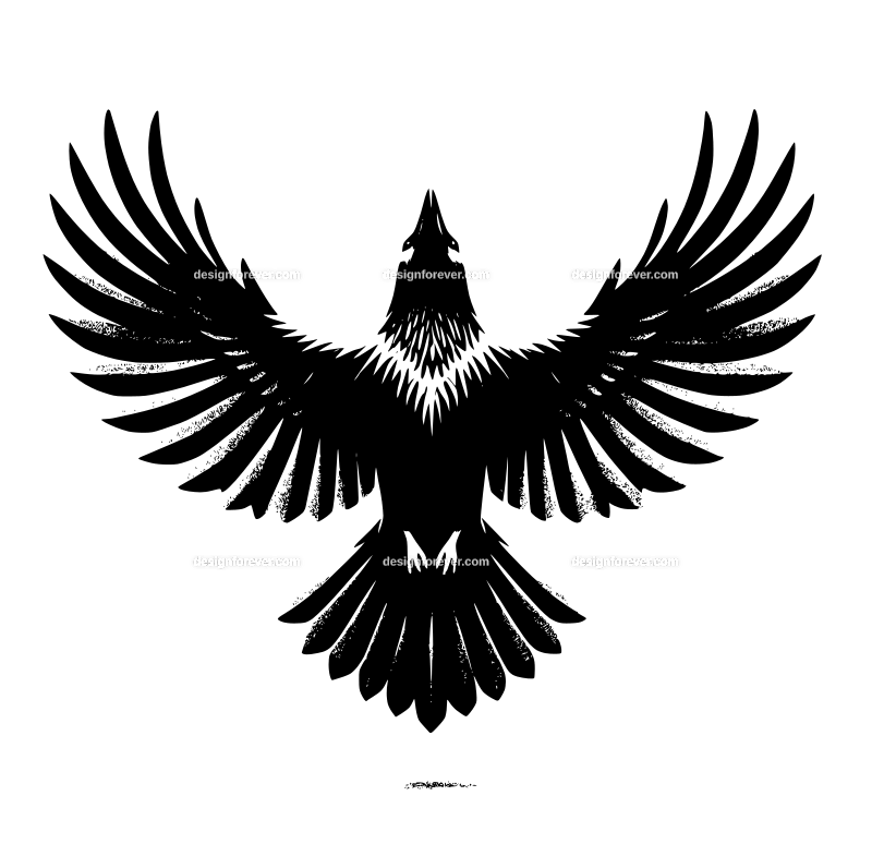 a raven flying straight up