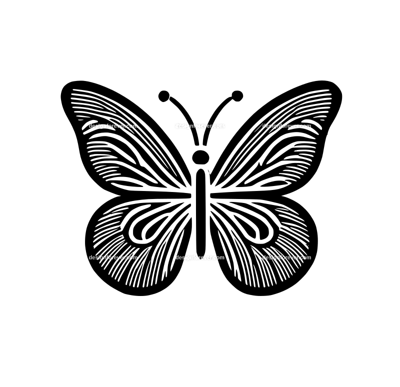 a simplified butterfly