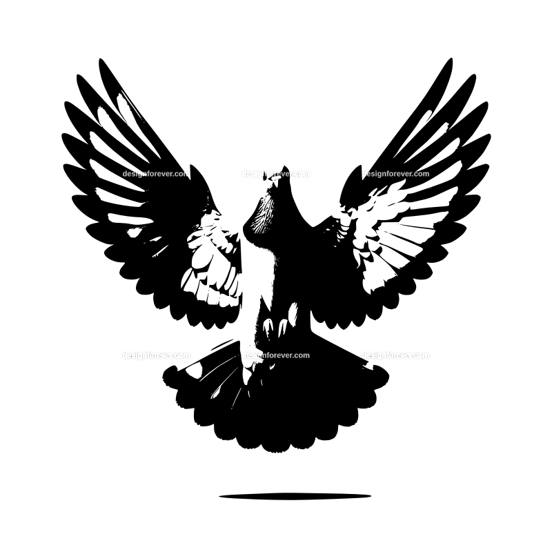 a pigeon flying straight up