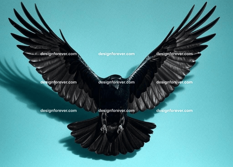 raven swooping down