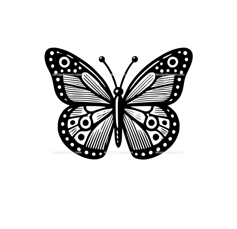 a simplified butterfly