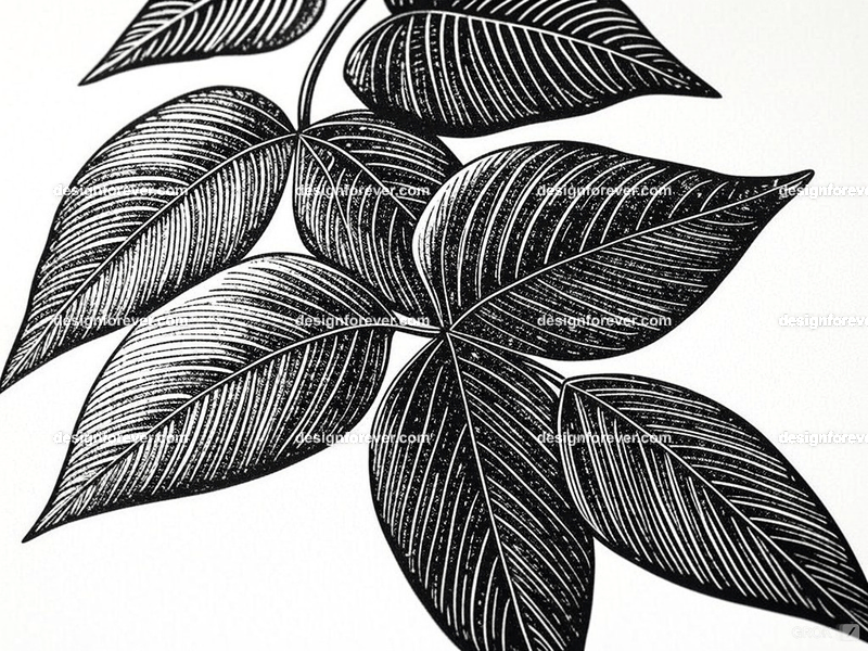 the poison ivy  closeup  macro