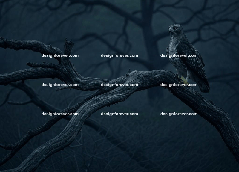 a hawk in creepy dark woods with dead trees