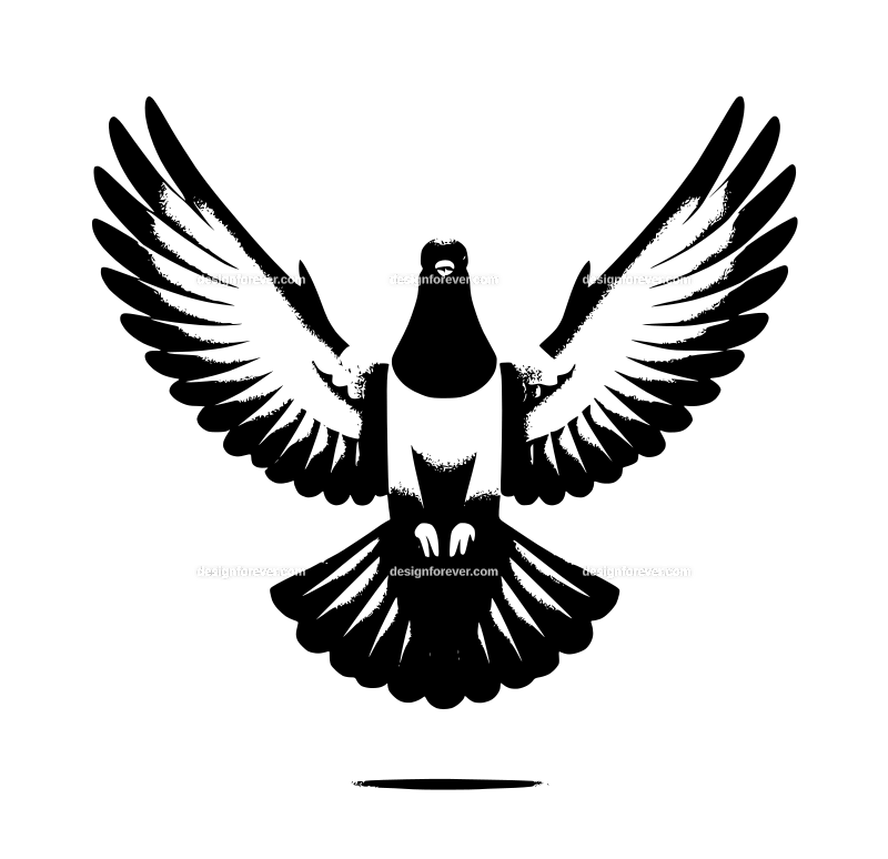 a pigeon flying straight up