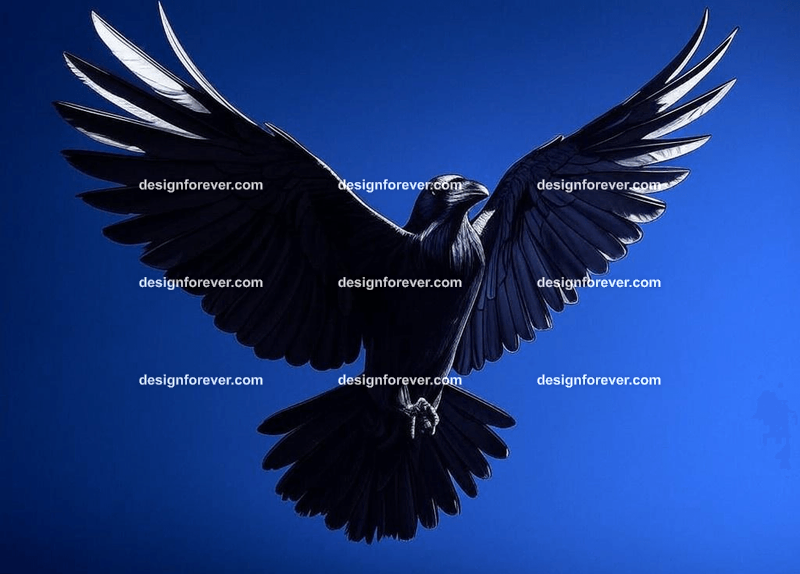raven swooping flying