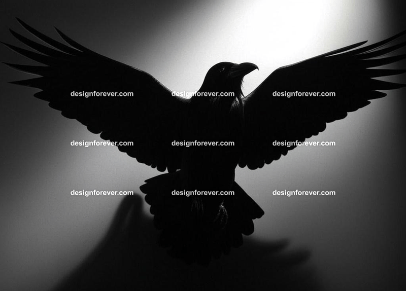 raven swooping flying