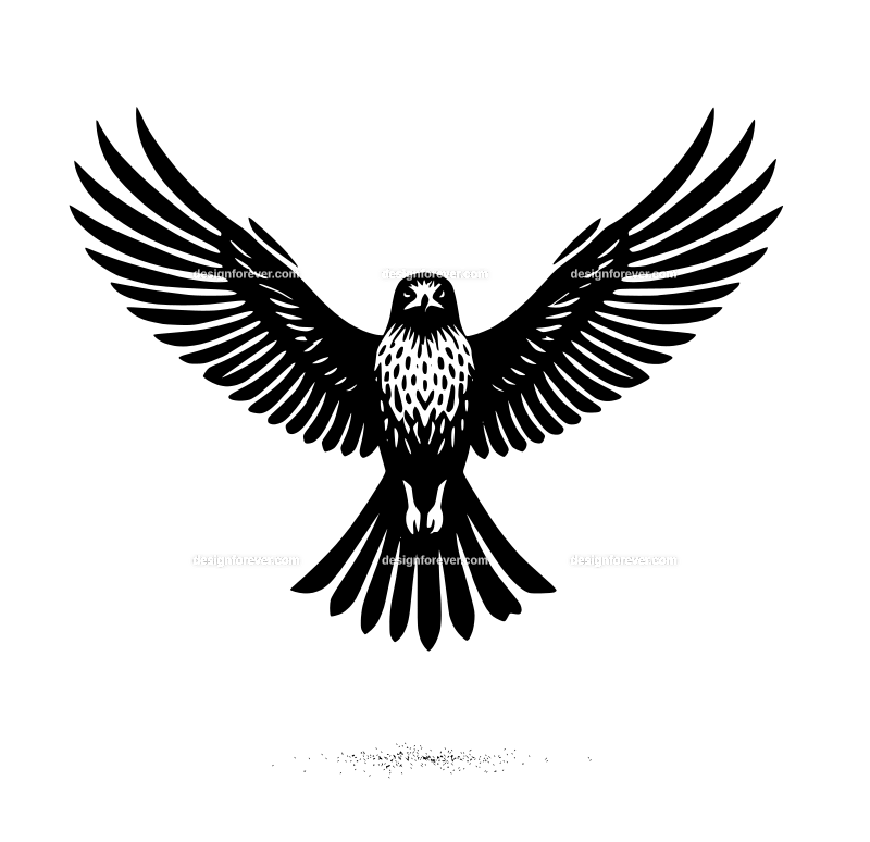 a hawk flying straight up