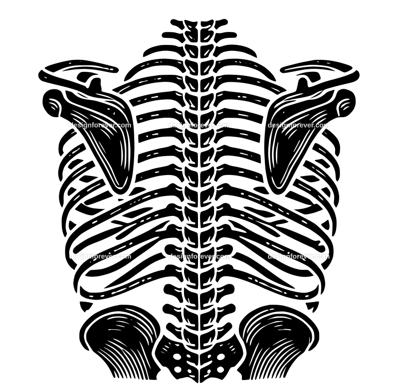 spinal graphic logo