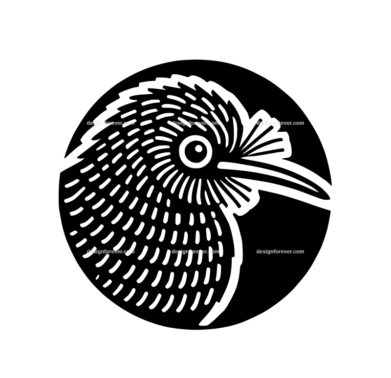 Kiwi bird graphic logo