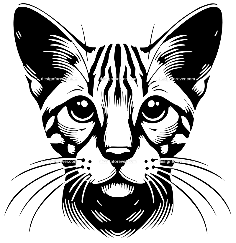 Toyger cat graphic logo