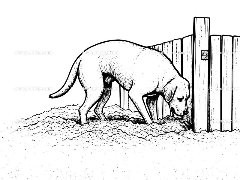 dog digging under fence