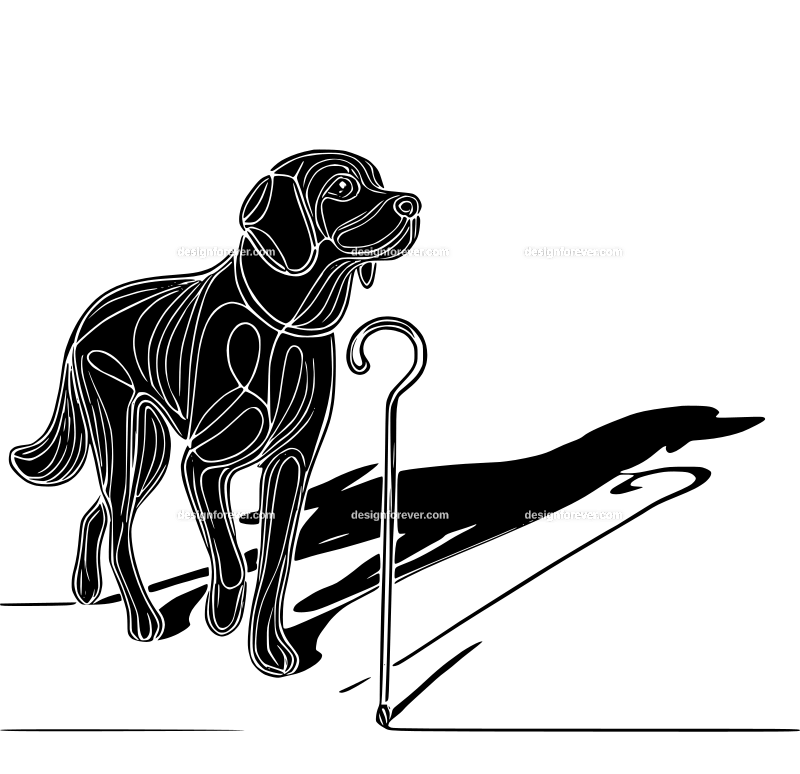 the dog who walked with a cane