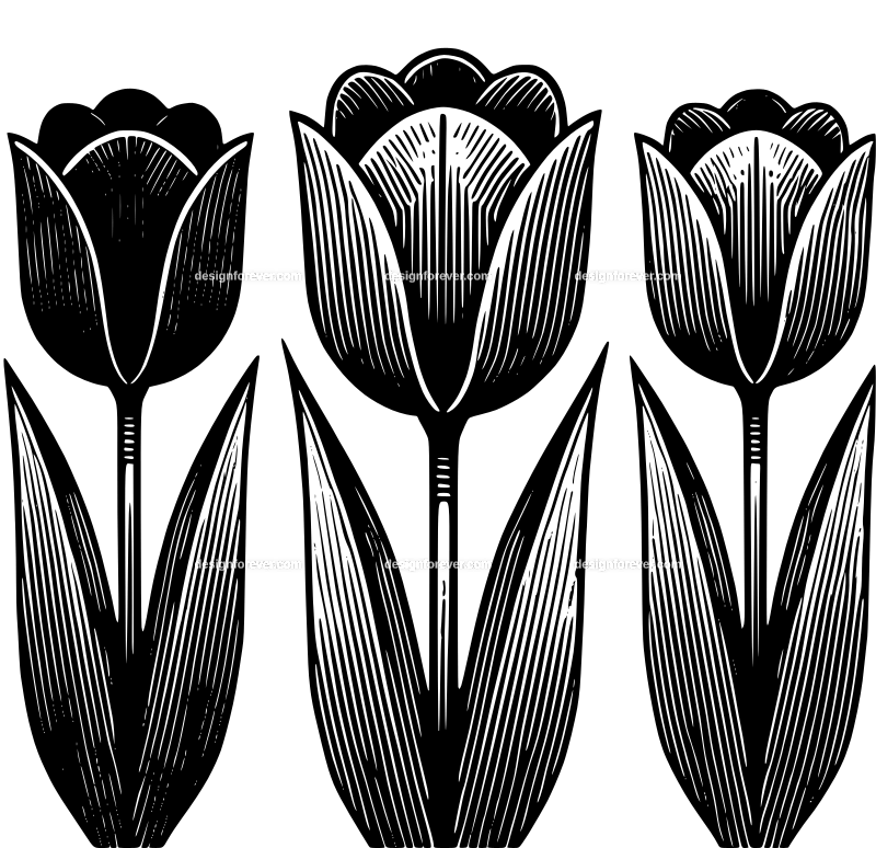 tulips graphic logo